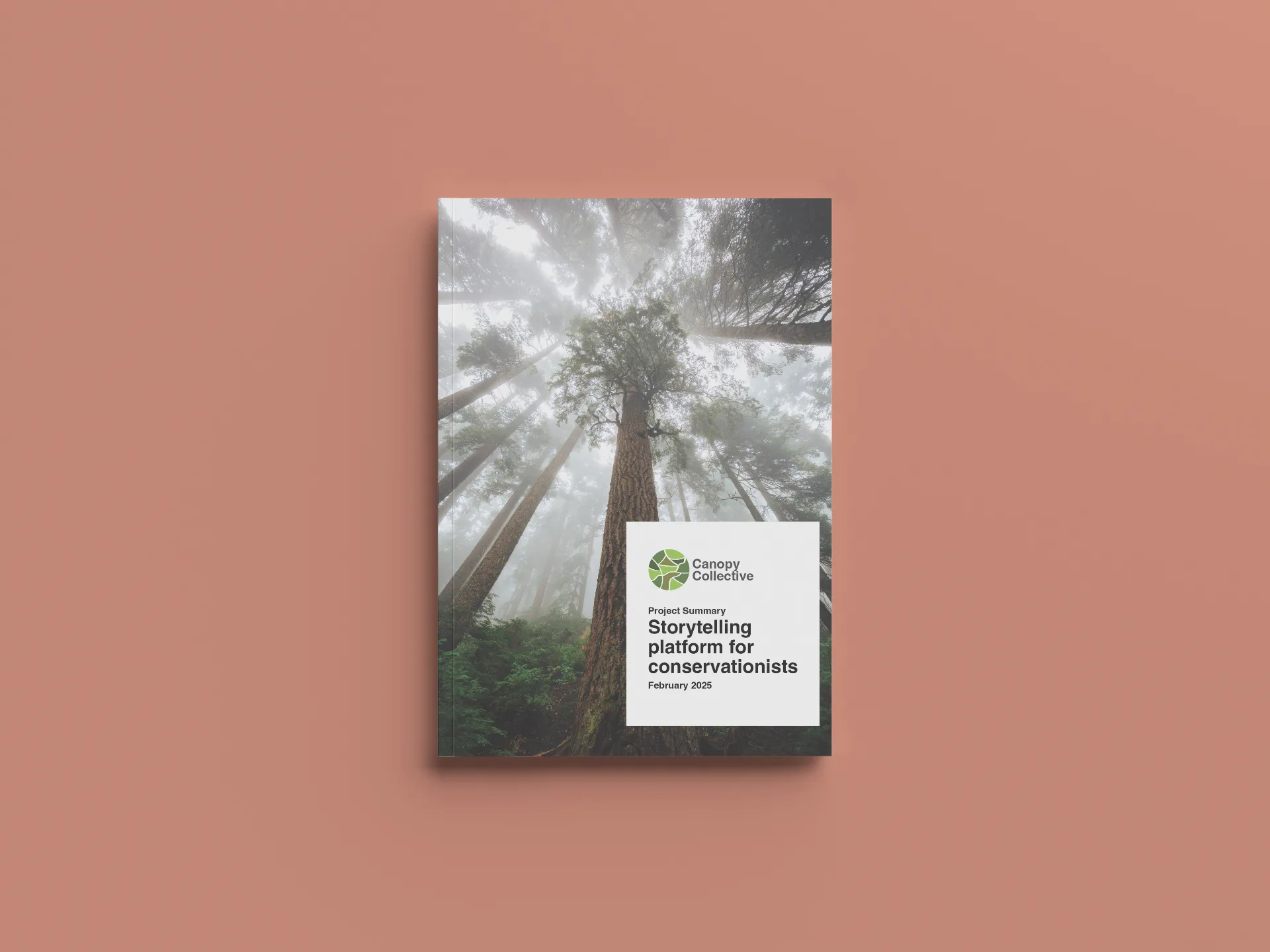Canopy Collective - Conservation Report Design