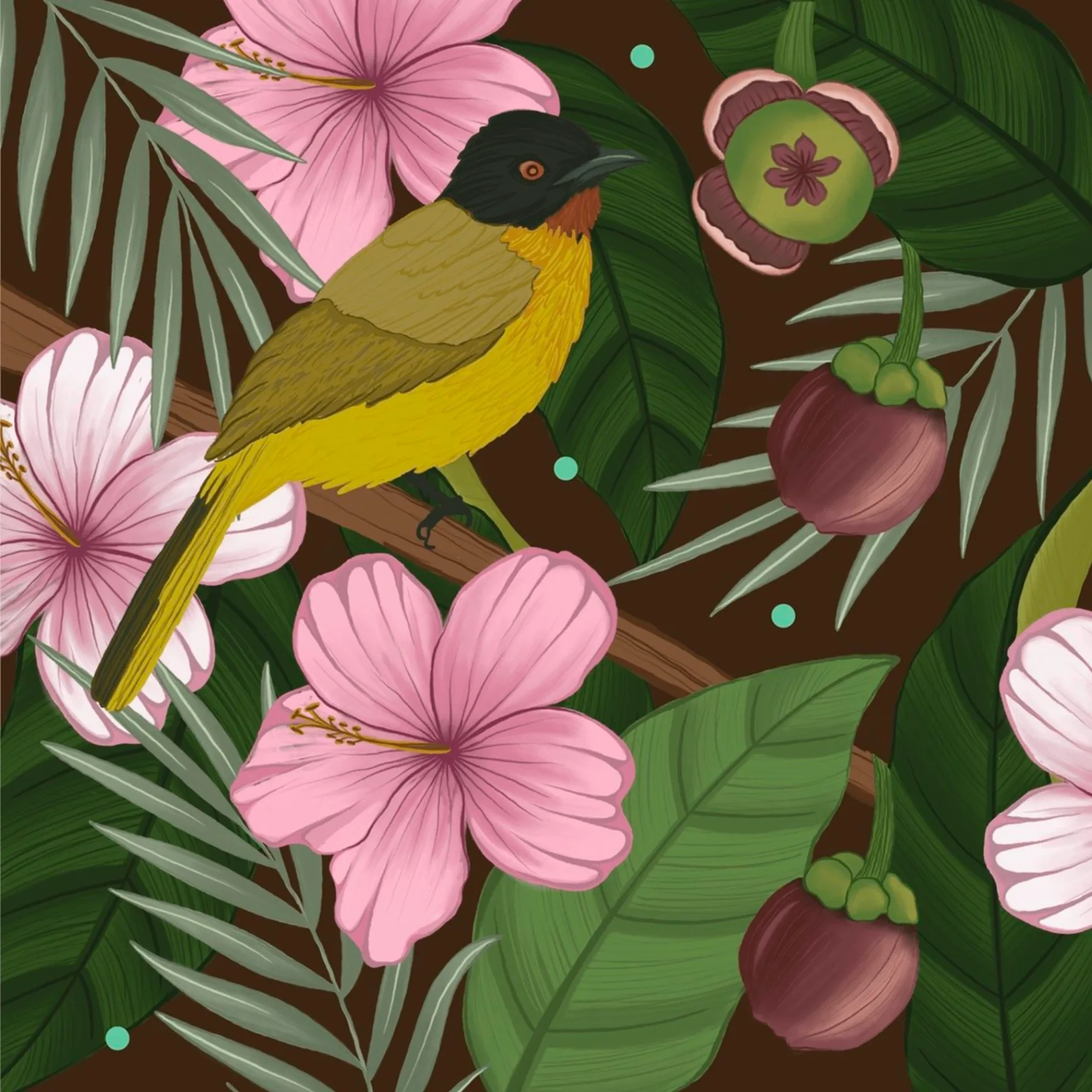 HOSA GOA - Yellow-bellied bulbul with pink hibiscus and tropical plants botanical art