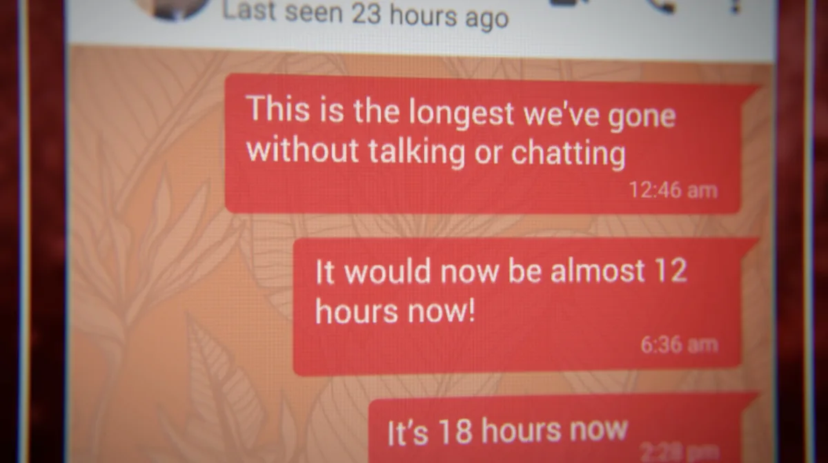 Wedding.con documentary graphic - Chat interface showing manipulative messages from fraudsters